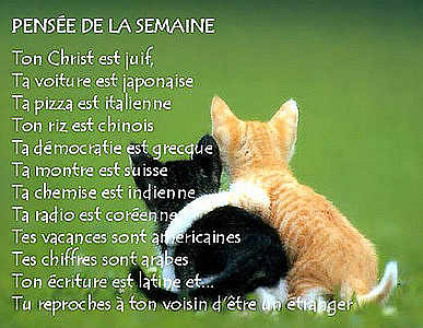 je n'ai rien d'autres a ajouter votre honneur
